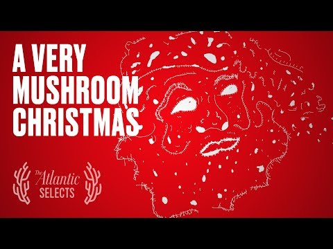 Santa Is a Psychedelic Mushroom