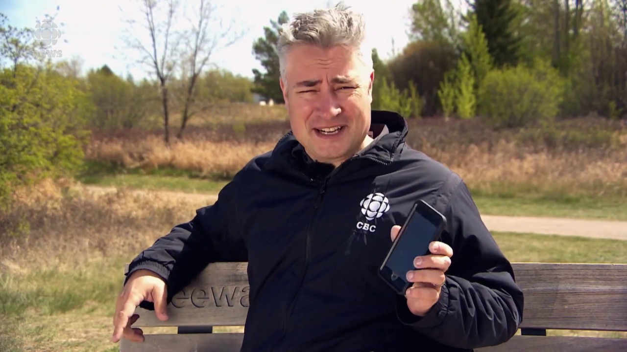 What are Saskatchewan area codes? Tipseri