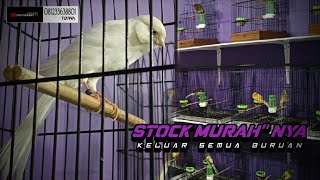 Download lagu 9 Januari 2026 GROSIR PENGAMBILAN BANYAK RASMI. mp3 Download lagu 9 Januari 2026 GROSIR PENGAMBILAN BANYAK RASMI. mp3