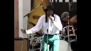 Waterfront Blues Festival 1993 - King Ernest & The Wild Knights feat. Randy Chortkoff (Part 2)