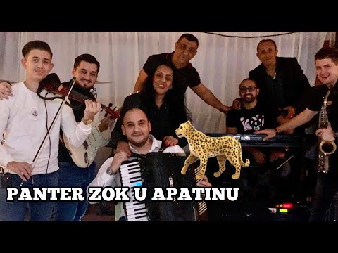 PANTER ZOK U APATINU / JOCA PIROMANAC / VELJKO NIKOLIC / STEFAN / BURIC / DALIBOR / MILAN STRASNI