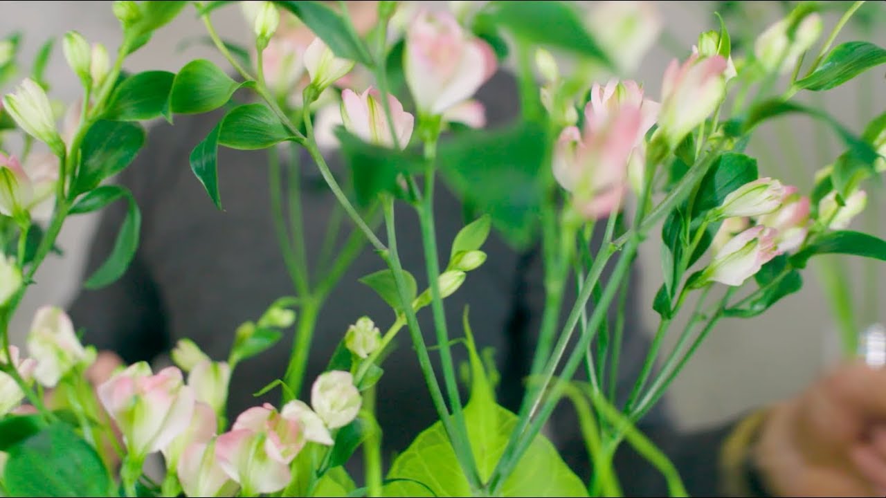 Charmelia on display | Flower Factor tutorial | Powered by Charmelia