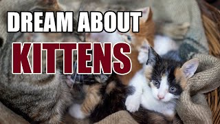 What Does It Mean When You Dreaming About Kittens