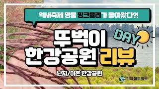 [뚜벅이 한강공원 리뷰 Day편] 핑크뮬리 올해엔 돌아오나요? 난지, 이촌 한강공원과 억새축제를 앞둔 하늘공원까지 전격 리뷰!