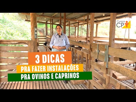 Como fazer as instalações pra ovinos e caprinos l Cursos CPT