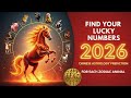 Find Your Lucky Numbers in 2026: Year of the Fire Horse