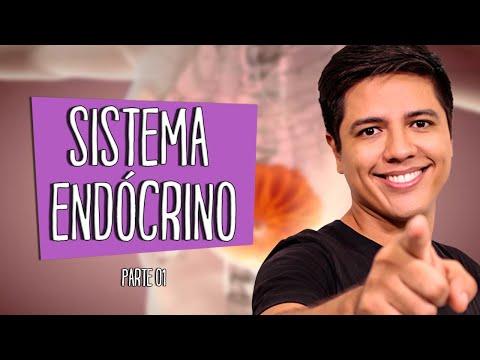 ENDOCRINE SYSTEM PART 01 - ANATOMY AND PHYSIOLOGY - Prof. Kennedy Ramos