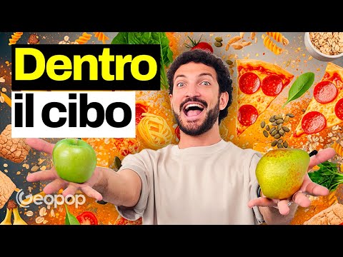 How to get the nutritional table: what are macronutrients and in which foods are they found