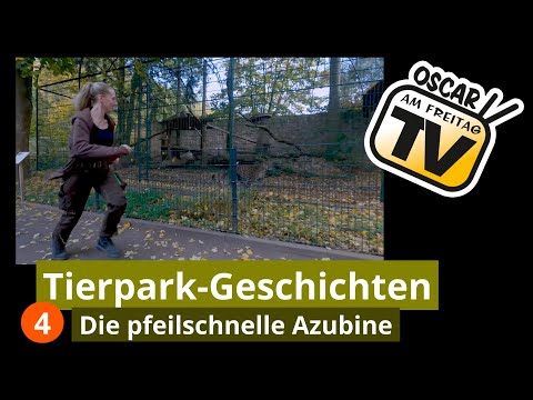 "Tierpark-Geschichten" (4): Die pfeilschnelle Azubine