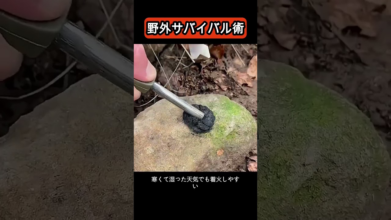 野外サバイバル術 #ショート #ライフハック #生活の知恵 #shots