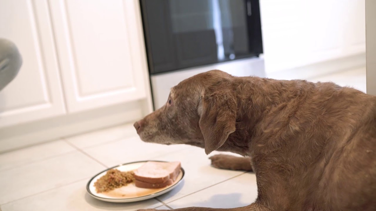 eFresh Meals - Let us do the cooking!