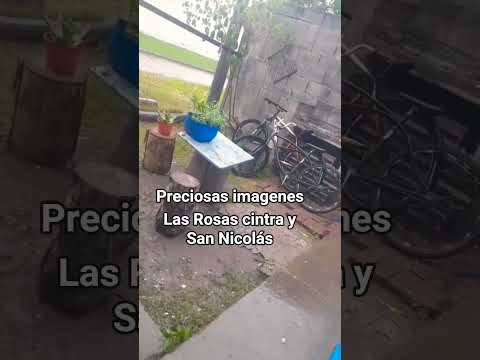 #lasrosas #cintra #cordoba