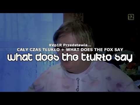 XVo1R - What does the TŁUKŁO!!! say? [The Fox Remix] //CAŁY CZAS TŁUKŁO