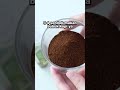 Bikin Lulur Sendiri Pakai Kopi Shorts