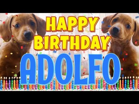 Happy Birthday Adolfo! ( Funny Talking Dogs ) What Is Free On My Birthday