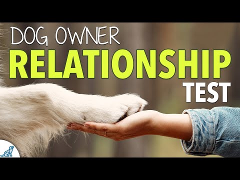 The Importance of Leadership and Structure in Dog Training