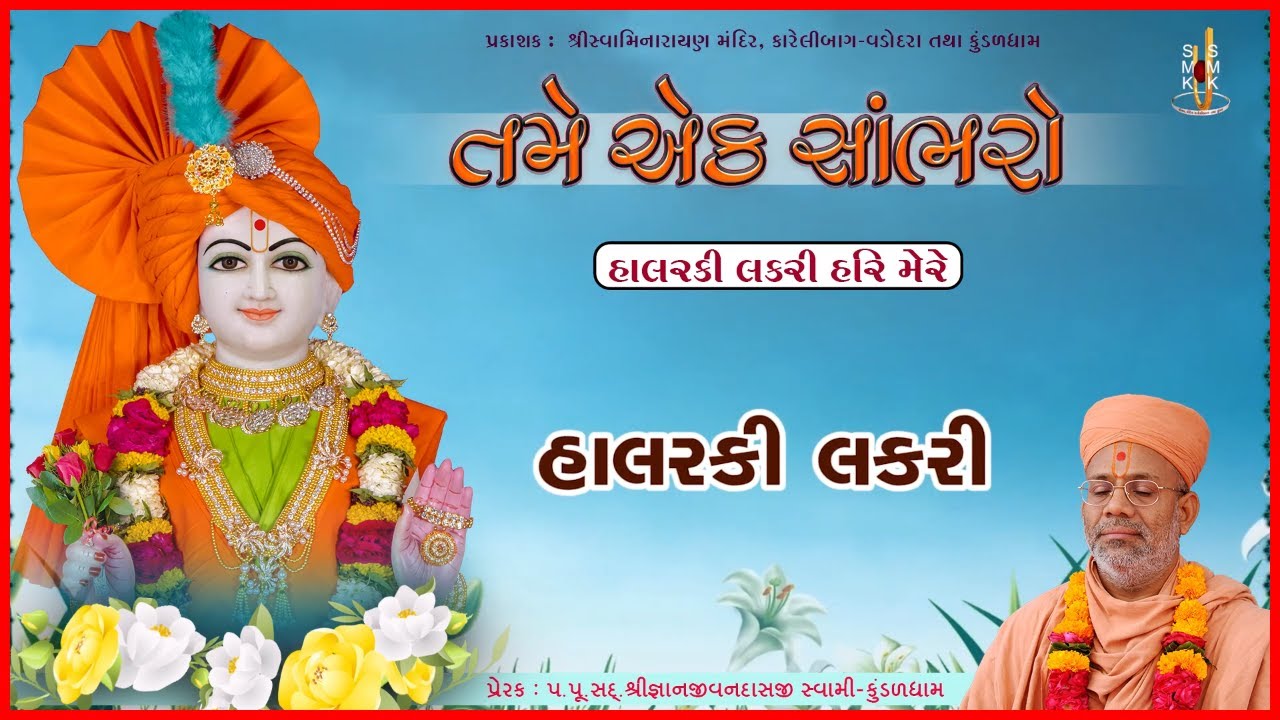 વૈષ્ણવાનંદ સ્વામી