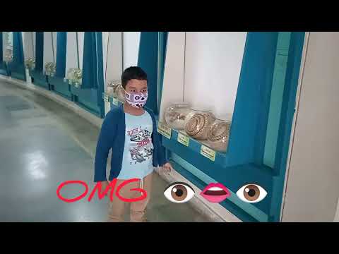 Museu Regional de História Natural || Lugar agradável para crianças em bhubaneswar @sanyogscreation2015