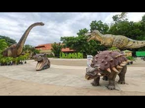 visit to the ukumari zoo