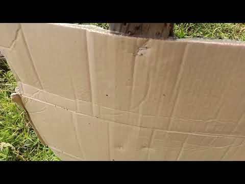 TAURUS PCP,V.1multishot(dbb 20',1800 op,500cc tank,meteor pellet @25m.