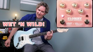 Video thumbnail for Benson Amps/ Non-Human Audio: Florist Dynamic Modulator by AndyDemos