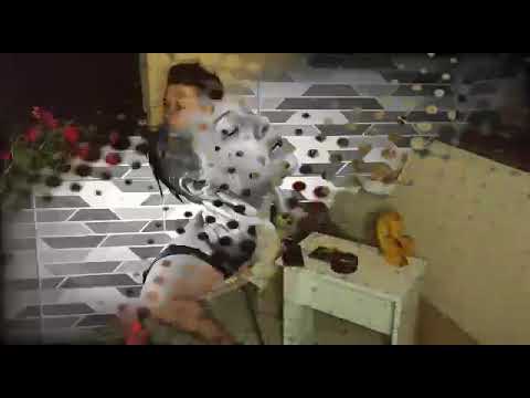 Daca i Mrle bend...Cover "Do poslednjeg daha"