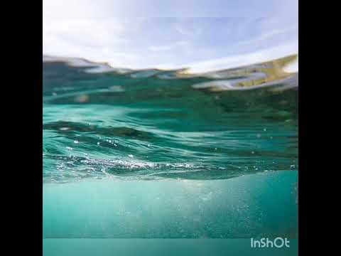 జీవన దర్శనం (Jeevana Darshanam)