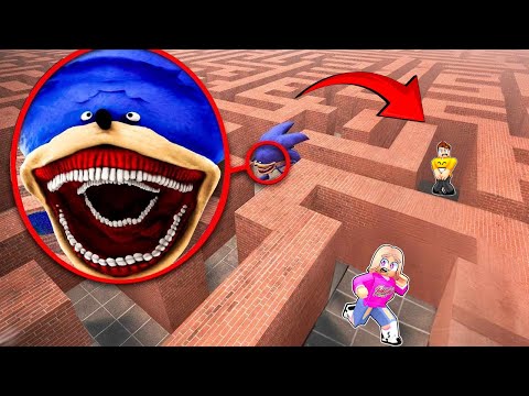 I'M STUCK IN THE BIG SHIN SONIC MAZE with SMILESLOW on ROBLOX! 😱😱😱