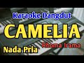 CAMELIA KARAOKE NADA PRIA COWOK Rhoma Irama Dangdut Rampak Live Keyboard