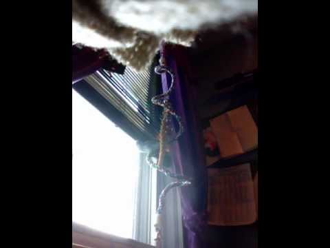 Zazu sings kingdom song 130