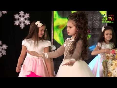 Ionela Blanaru - Ninge peste tarisoara mea