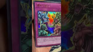 【遊戯王】運命の盤上　【私のカードコレクション】 #yugioh #遊戯王