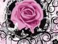 LA VIE EN ROSE (la vida en rosa) 