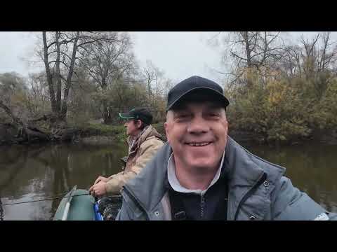 AIVIEKSTE , CIEMOS PIE AINĀRA !