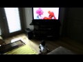 Nathan Watching Sesame Street