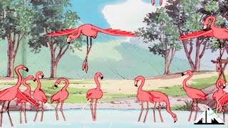 Flamingosis - Flight Of The Flamingo video