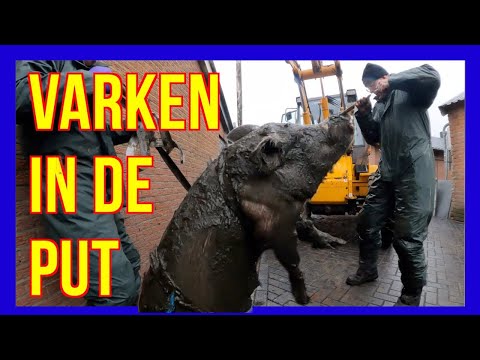 Varken in de put - VOLUNTEERS DUTCH FIREFIGHTERS -