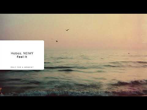 Hobes, NEIMY - Feel It