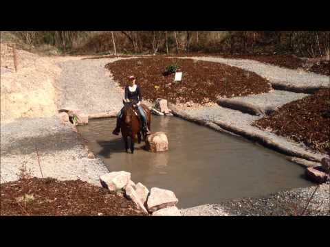 Cascades Rising Moonlight - Trainer Contest 2015 - Extreme Trail