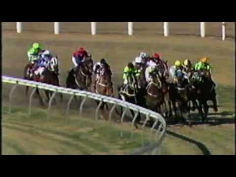 1991 Warwick Stakes - Super Impose