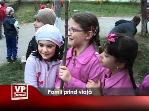 Pomii prind viaţă