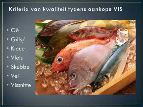 Gasvryheidstudies GRAAD 11: 6 Mei 2020 - periode 3 (06113)