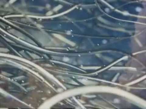 There's no Message In The Clouds