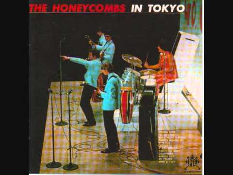 THE HONEYCOMBS / COLOR SLIDE - LIVE IN TOKYO