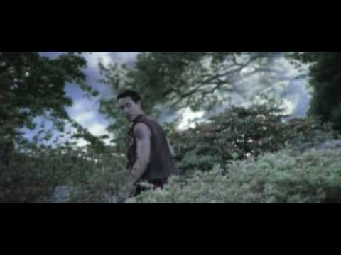 Schiller - Ein schöner Tag