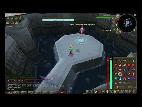 Amoxliatl Speed-Chaser (Bloodmoon x Burning Claws x Surge)