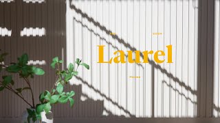 The Laurel House (Sony A7S iii Cinematic Video) Real Estate Video