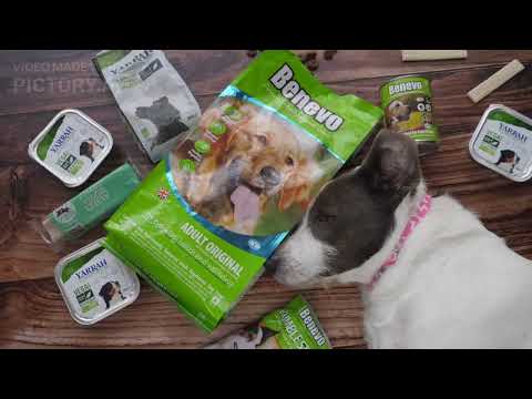 The Ultimate Guide to Pet Nutrition: What Your Furry Friend Needs