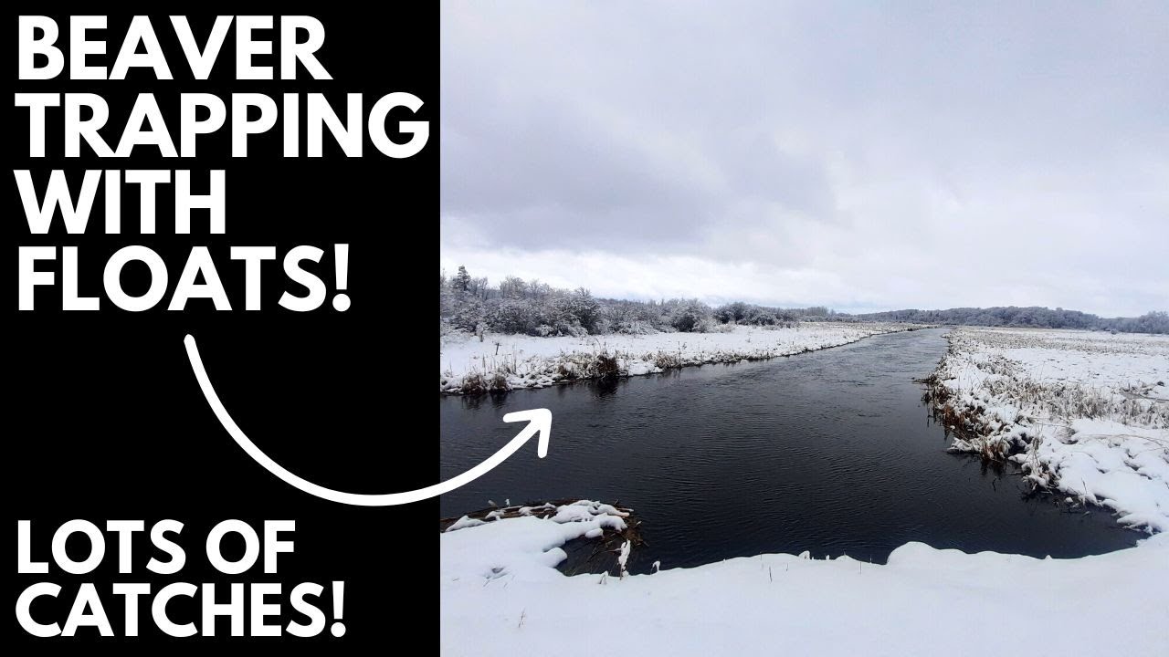 Beaver Trapping with Floats │ The EASY Way to Trap Beaver!