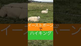 【イギリス】海沿いの街でハイキングしてみた🥾